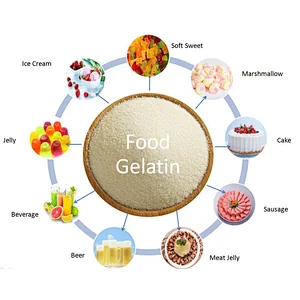 Food Additives For Cheese Grade Price Edible Beef Glatin Transparent Granular Gelatin gelatin manufacturer
