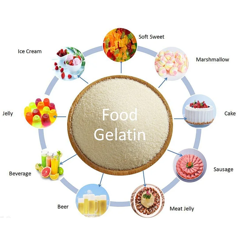 Food Additives For Cheese Grade Price Edible Beef Glatin Transparent Granular Gelatin gelatin manufacturer